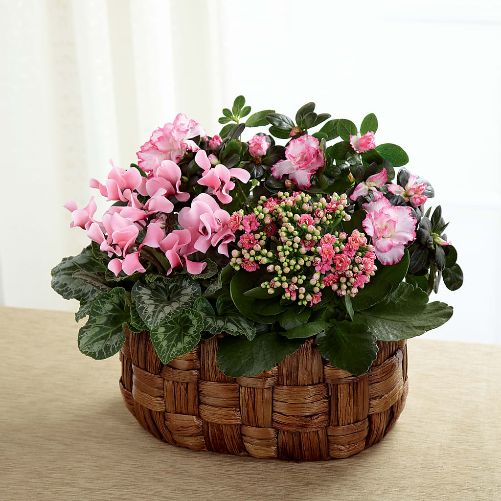 Pink Assortment – CASEY'S FLORIST, Princeton NC