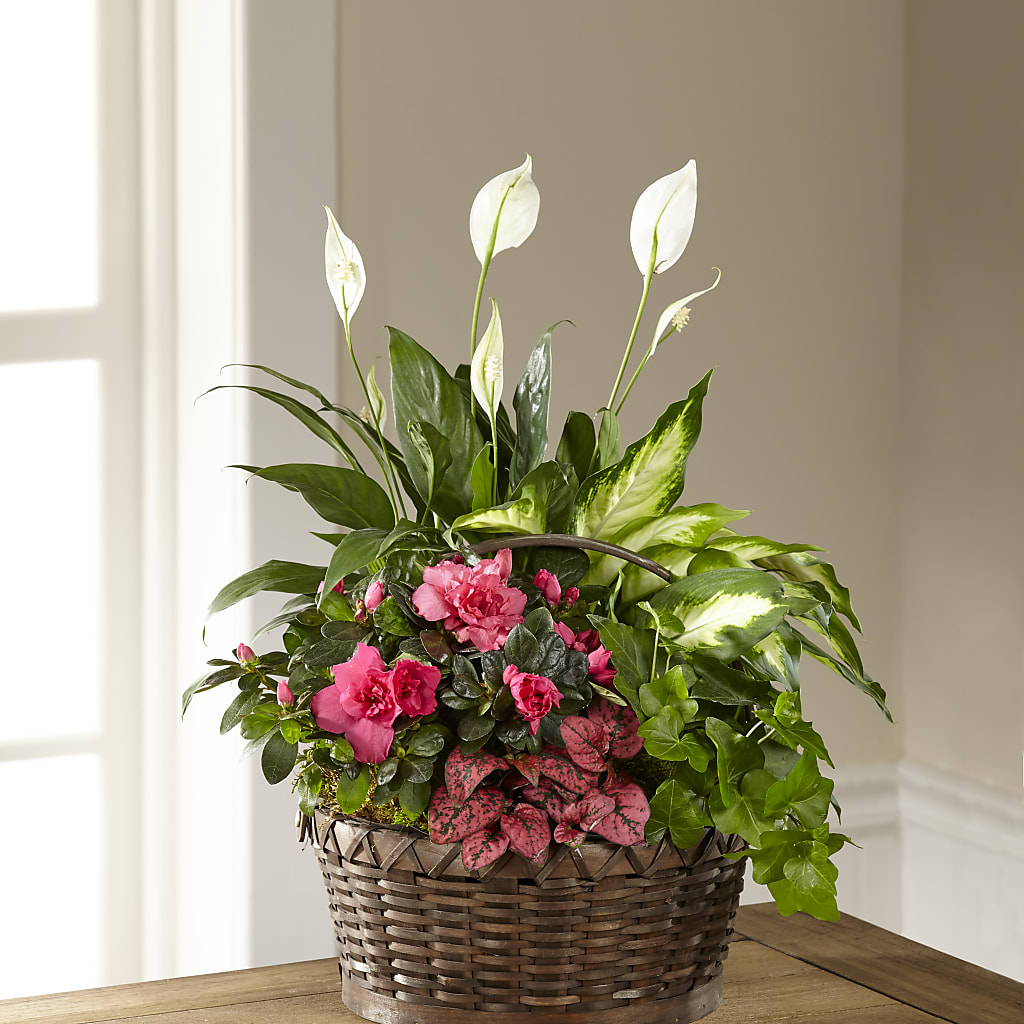 Dream in Pink Dishgarden – CASEY'S FLORIST, Princeton NC