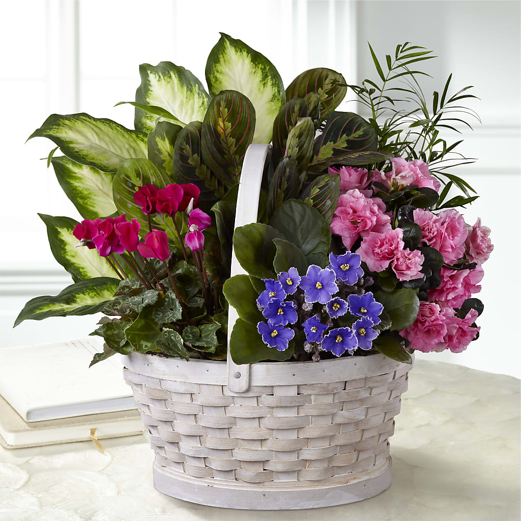Peaceful Garden Planter – CASEY'S FLORIST, Princeton NC