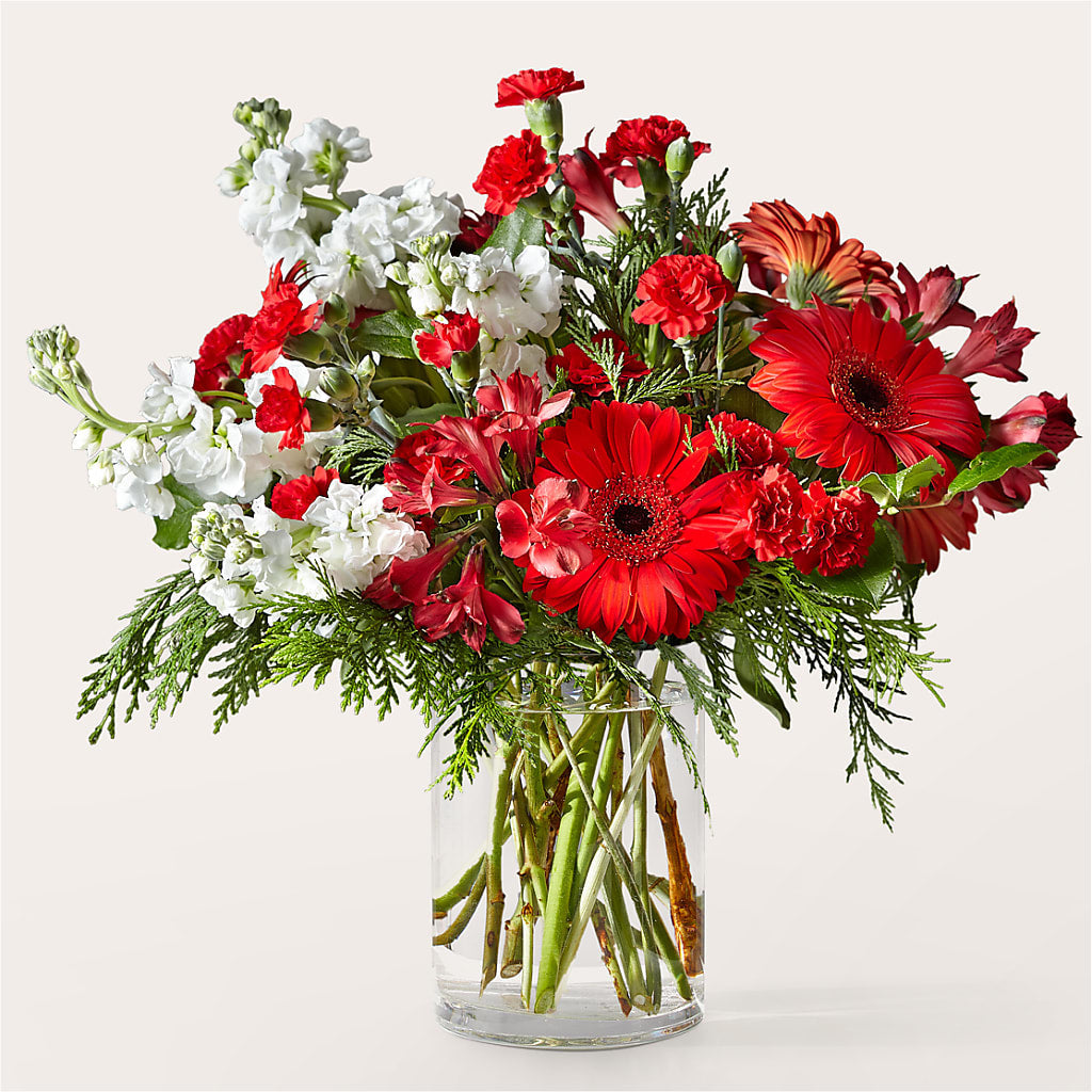Holidaisy Bouquet – CASEY'S FLORIST, Princeton NC