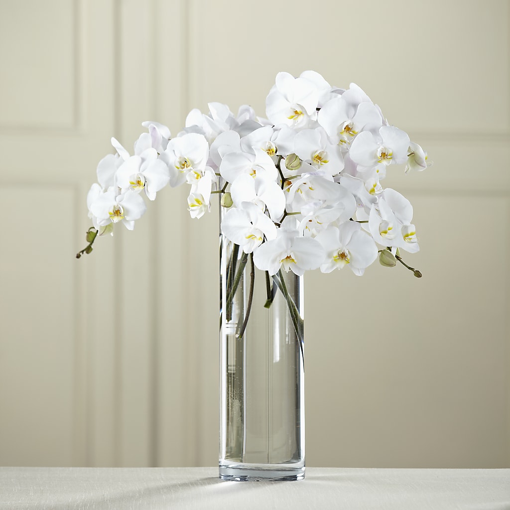White Phalaenopsis Bouquet – CASEY'S FLORIST, Princeton NC