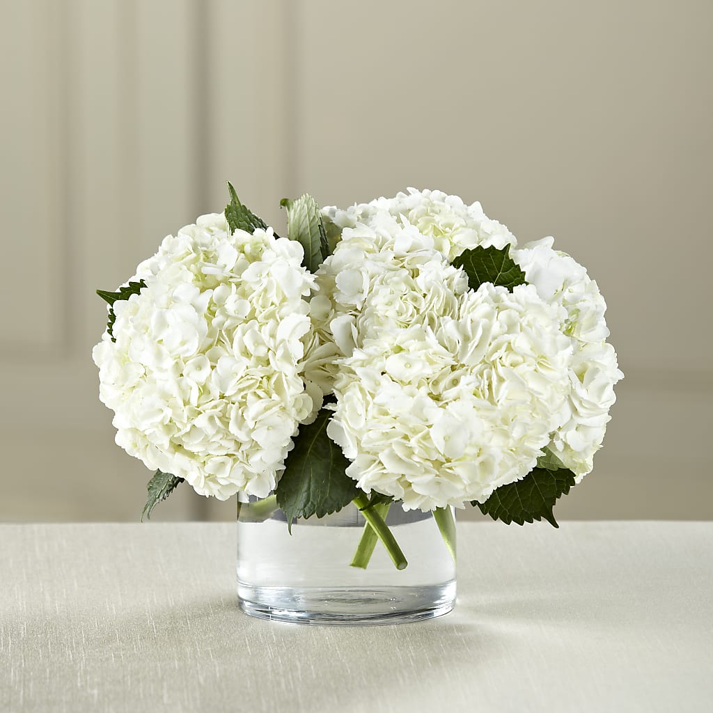 White Hydrangea Bouquet – CASEY'S FLORIST, Princeton NC