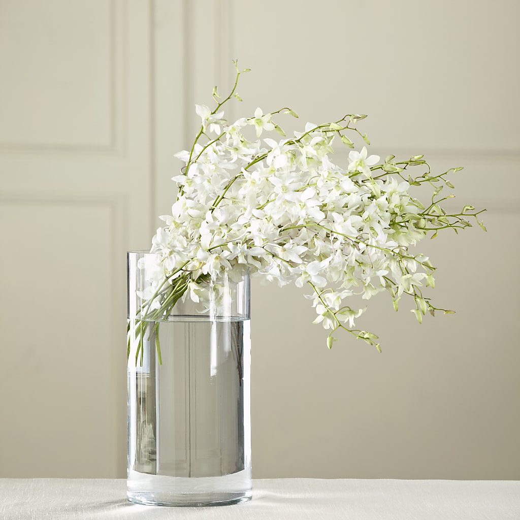 White Dendrobium Bouquet – CASEY'S FLORIST, Princeton NC